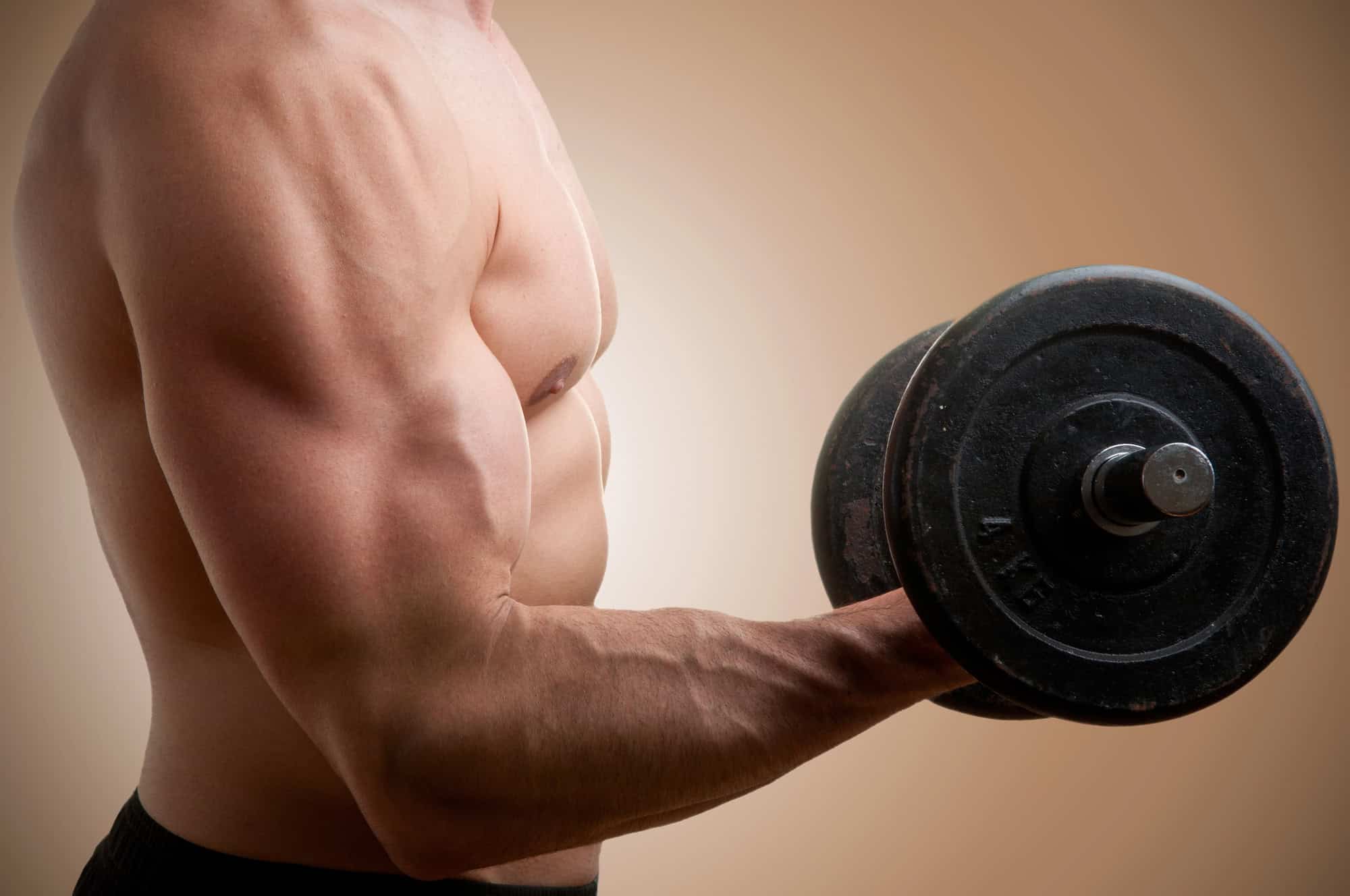 Man performing dumbbell curls during a biceps workout for size and definition